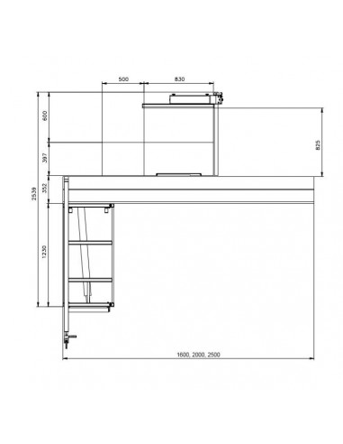 Scie à format 2500mm monophasée Holzprofi FP300-2500L-MONO