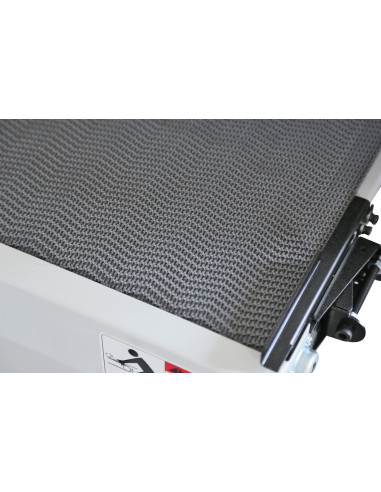 Ponceuse calibreuse 635mm / 2 rouleaux / monophasée Holzprofi SPB25