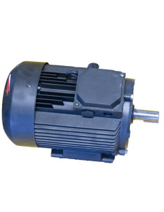 Option vitesse variable pour dégauchiseuse-raboteuse Holzprofi