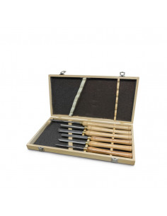 Coffret de gouges tournage bois | Jeu 6 outils