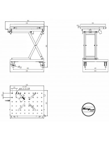 Table élévatrice capacité de 70kg Holzprofi accessoires TE070