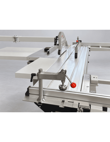 Promotion Scie à format FPNP3200ELD – Chariot 3200 mm + Inciseur professionnel